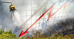 Statistiche animaliste